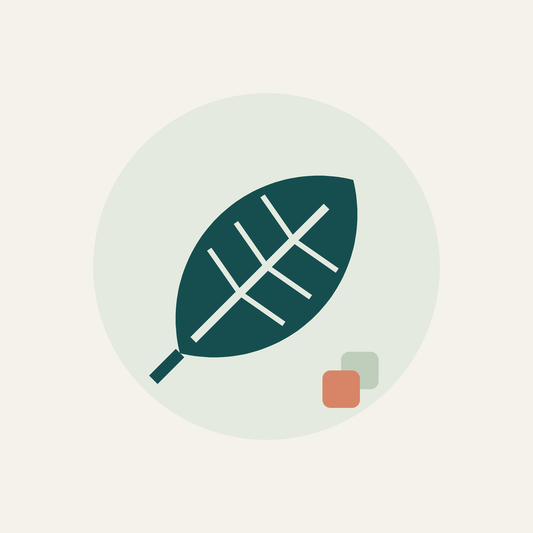 SpaceMax compostable packaging leaf